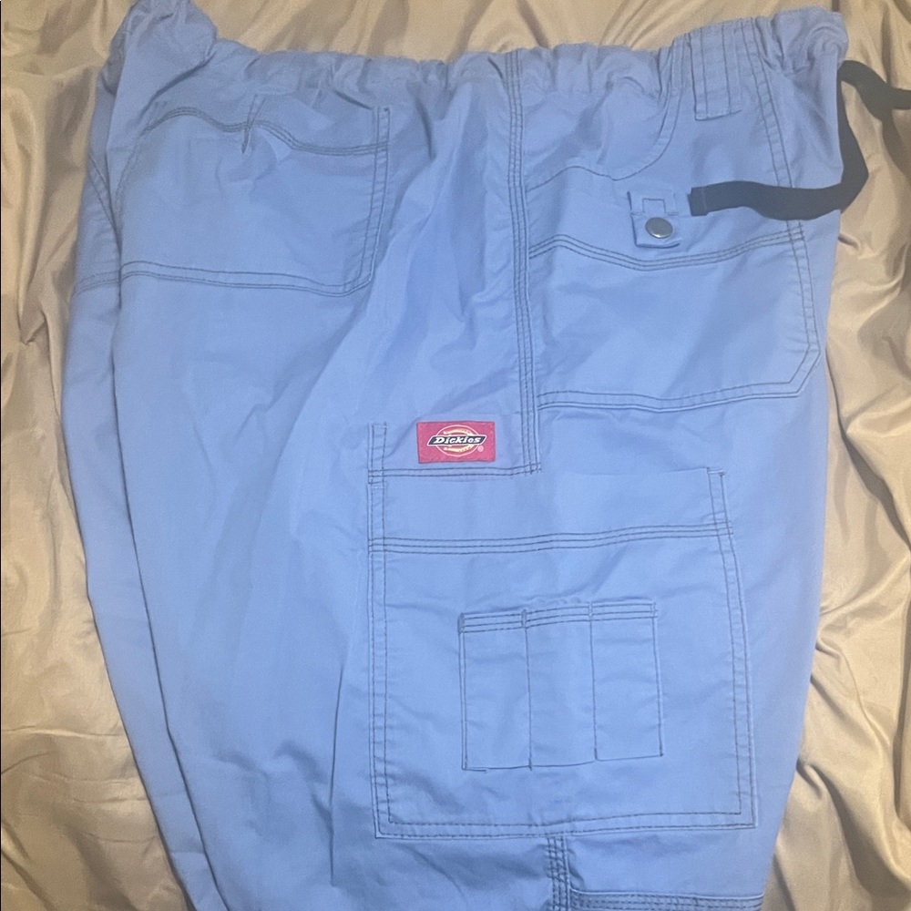 Dickies Sky Blue Utility Pants